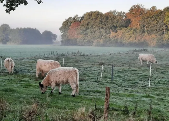 Semesterbostad 40 Mini Pod 